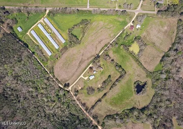 Homes for sale in Mendenhall, MS | 00 Simpson Hwy 13, Mendenhall, MS 39114 | MLS# 4111636