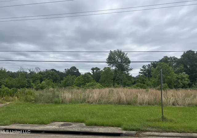 Photo 3 of Land for sale at 2524 Hwy 468, Pearl, MS 39208 | MLS# 4112644 | Listing updated on 2026-04-24