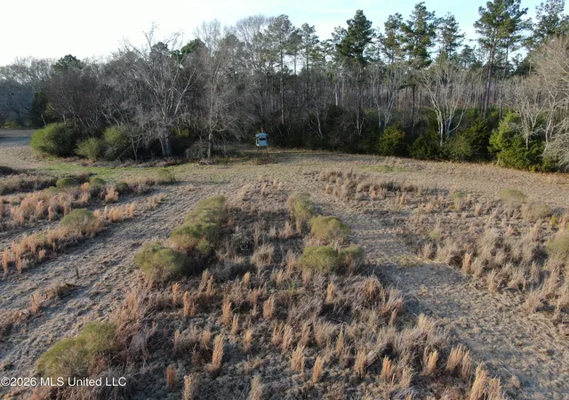 Photo 29 of Land for sale at Horseshoe Ln, Flora, MS 39071 | MLS# 4113981 | Listing updated on 2026-08-13