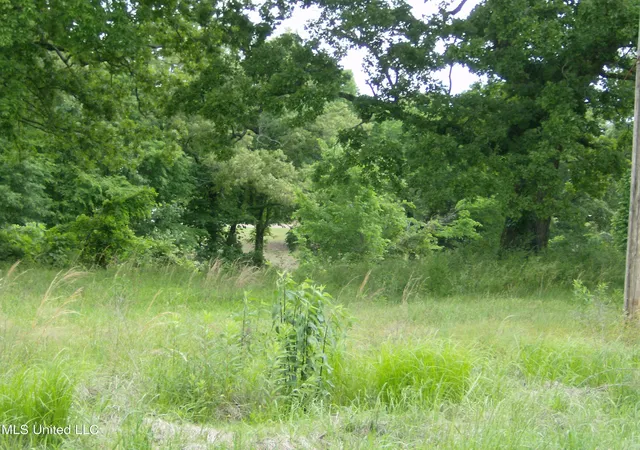 Photo 2 of Land for sale at 13705 Byhalia Rd, Byhalia, MS 38611 | MLS# 4113259 | Listing updated on 2026-05-14