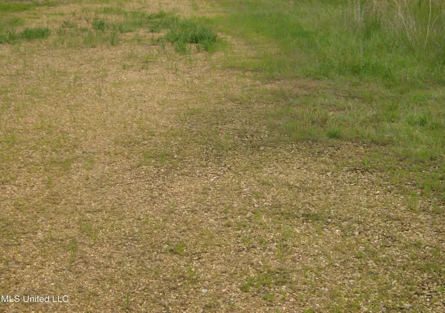 Photo 3 of Land for sale at 13705 Byhalia Rd, Byhalia, MS 38611 | MLS# 4113259 | Listing updated on 2026-05-14