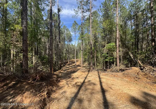 Homes for sale in Crosby, MS | 2683 33 Hwy, Crosby, MS 39633 | MLS# 4113274