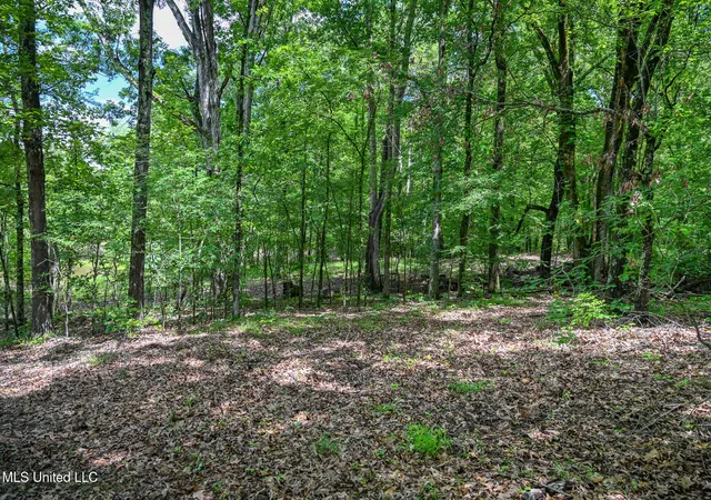 Photo 4 of Land for sale at Lot 2 Woodlawn Rd, Byhalia, MS 38611 | MLS# 4113405 | Listing updated on 2026-05-28