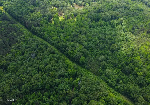 Photo 3 of Land for sale at Jason Way Ln, Byhalia, MS 38611 | MLS# 4113417 | Listing updated on 2026-05-28