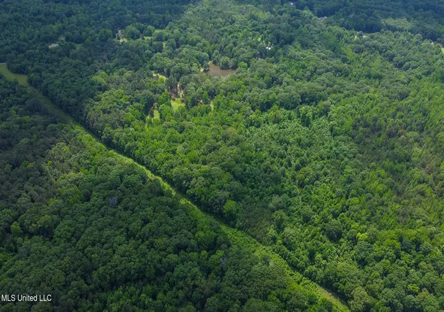 Photo 3 of Land for sale at Jason Way Ln, Byhalia, MS 38611 | MLS# 4113417 | Listing updated on 2026-05-28