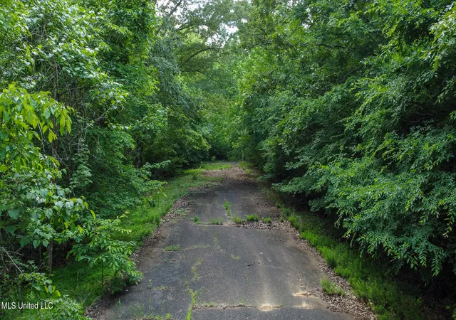 Photo 4 of Land for sale at Jason Way Ln, Byhalia, MS 38611 | MLS# 4113417 | Listing updated on 2026-05-28