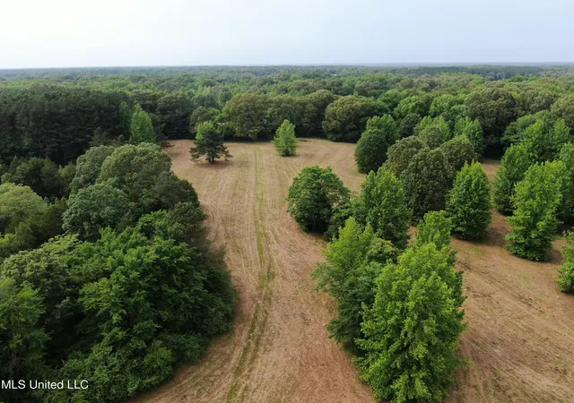 Homes for sale in Coldwater, MS | 656 Sunset Dr, Coldwater, MS 38618 | MLS# 4113844