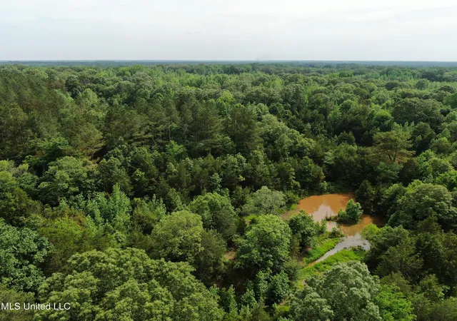 Homes for sale in Coldwater, MS | 656 Sunset Dr, Coldwater, MS 38618 | MLS# 4113844