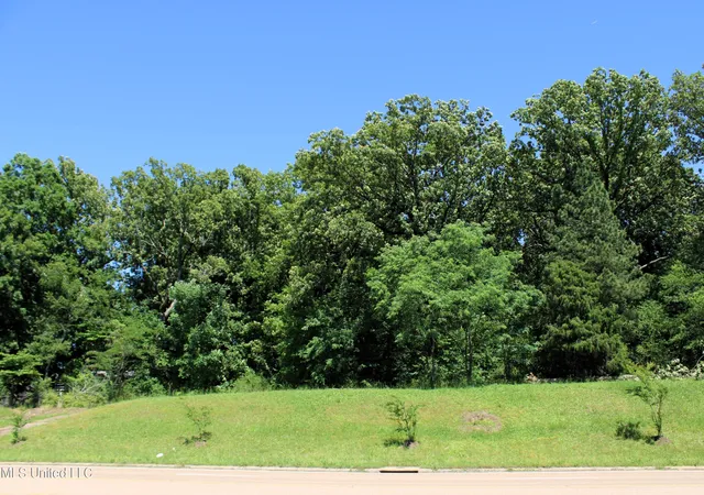 1st image of 6606 Hwy 305, Olive Branch, MS 38654 | MLS# 4114508