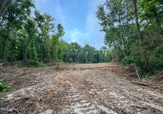 Homes for sale in Roxie, MS | 1 Old Hamburg Road, Roxie, MS 39661 | MLS# 4113982