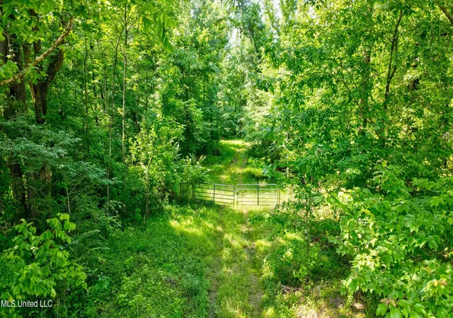 Photo 3 of Land for sale at Gaines Rd, Hernando, MS 38632 | MLS# 4115197 | Listing updated on 2026-07-02