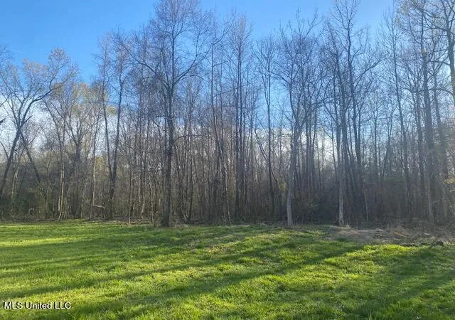 Photo 1 of Land for sale at Gaines Rd, Hernando, MS 38632 | MLS# 4115197 | Listing updated on 2026-07-02