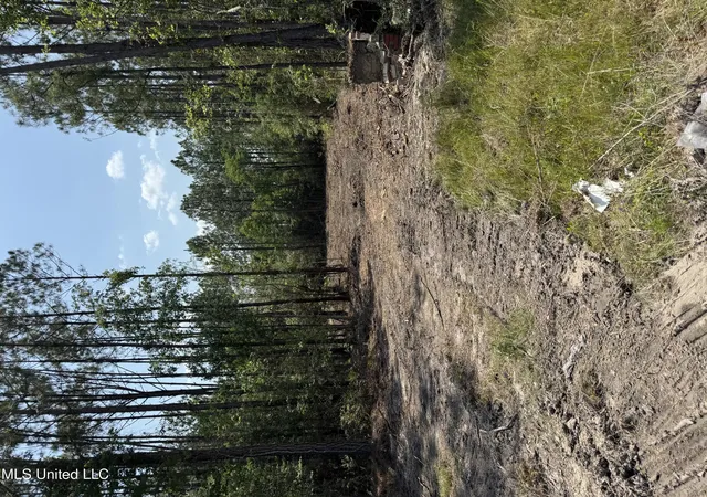 Homes for sale in Kiln, MS | 23485 Hwy 603, Kiln, MS 39556 | MLS# 4115688