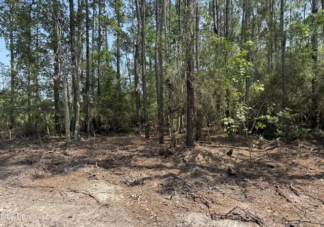 Photo 3 of Land for sale at 23485 Highway 603, Kiln, MS 39556 | MLS# 4115688 | Listing updated on 2026-05-19