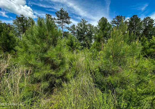 Homes for sale in Pontotoc, MS | 0002 Garrett Creek Loop, Pontotoc, MS 38863 | MLS# 4116564