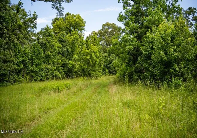 Homes for sale in Zachary, LA | 300 W Mount Pleasant Rd, Zachary, LA 70791 | MLS# 4116889
