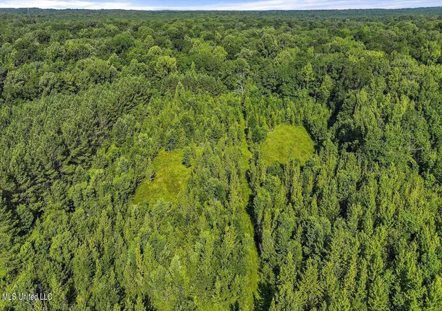 Photo 33 of Land for sale at 0003 Southern Trce Blvd, Clinton, MS 39056 | MLS# 4117389 | Listing updated on 2026-07-01