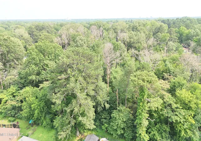Photo 4 of Land for sale at 0 Watkins Dr, Jackson, MS 39206 | MLS# 4118078 | Listing updated on 2026-06-30