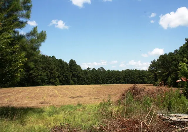 Homes for sale in Meadville, MS | Par6 &7 Coldwater Church Rd, Meadville, MS 39653 | MLS# 123070