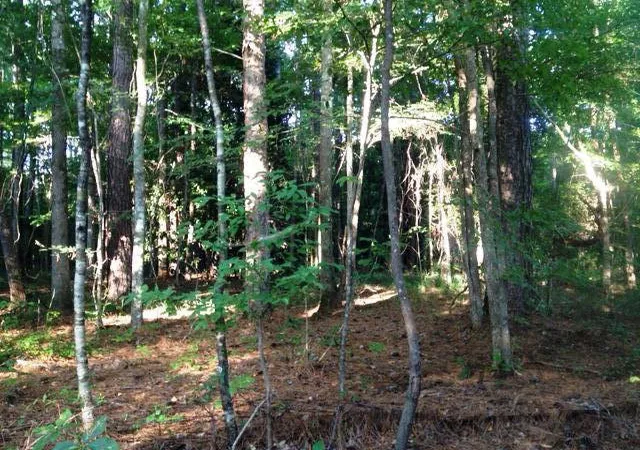 Homes for sale in Meadville, MS | Parcel 4 Hwy 98, Meadville, MS 39653 | MLS# 124360