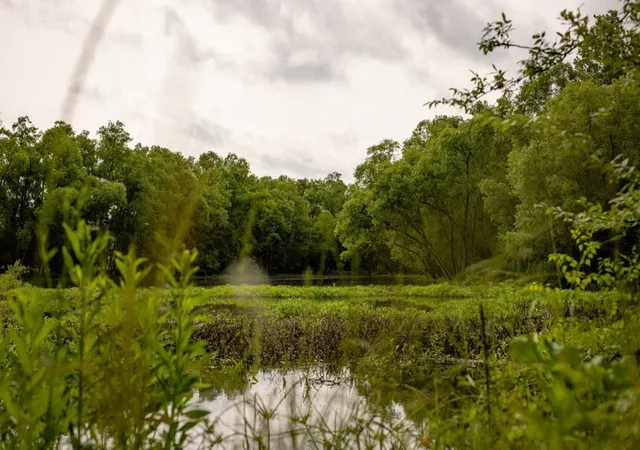 Photo 2 of Sale Pending at 1017 Insemore Rd, Hermanville, MS 39086 | MLS# 138323 | Listing updated on 2026-03-30