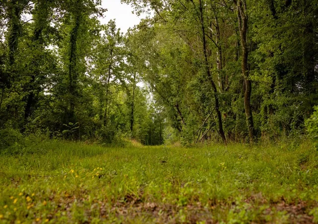 Photo 3 of Sale Pending at 1017 Insemore Rd, Hermanville, MS 39086 | MLS# 138323 | Listing updated on 2026-03-30
