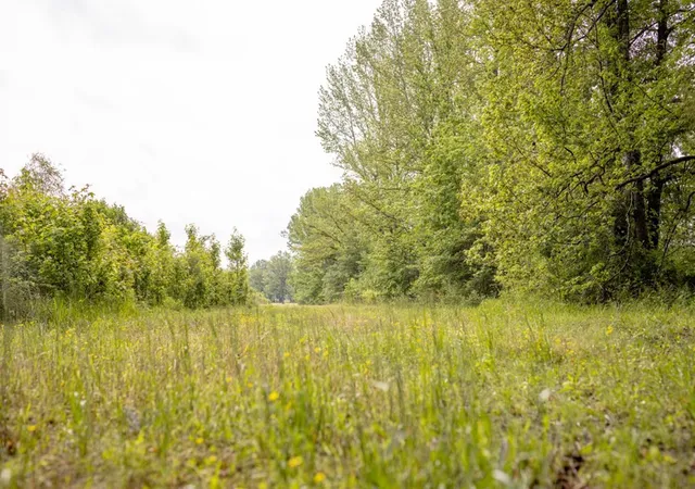 Photo 4 of Sale Pending at 1017 Insemore Rd, Hermanville, MS 39086 | MLS# 138323 | Listing updated on 2026-03-30
