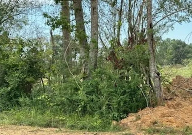 Homes for sale in Bogue Chitto, MS | Tbd Daughdrill, Bogue Chitto, MS 39629 | MLS# 141474