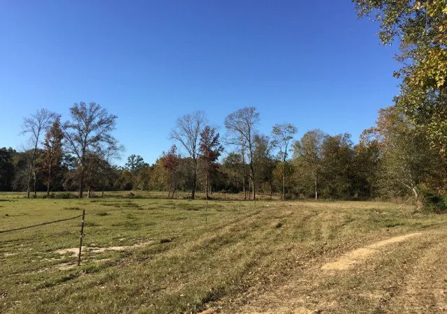 Homes for sale in Centreville, MS | 00 Hwy 24/whites School Rd, Centreville, MS 39631 | MLS# 127784