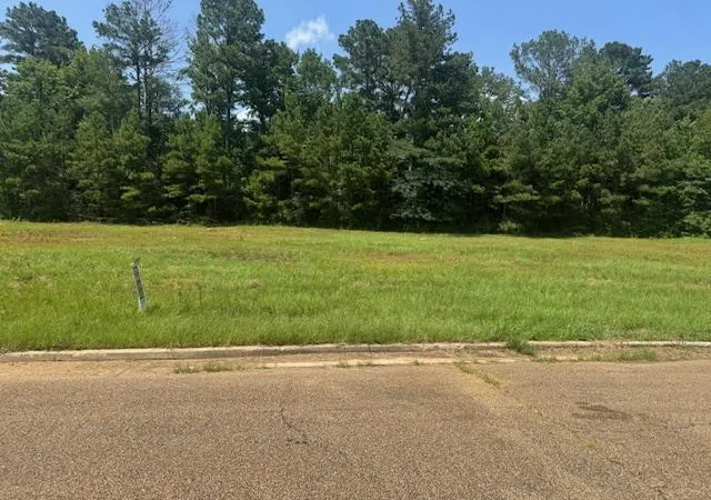 Photo 1 of Land for sale at Lot 4 Business Center Dr, Mc Comb, MS 39648 | MLS# 131451 | Listing updated on 2026-09-02