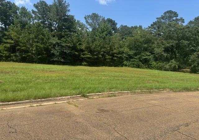 Photo 3 of Land for sale at Lot 4 Business Center Dr, Mc Comb, MS 39648 | MLS# 131451 | Listing updated on 2026-09-02