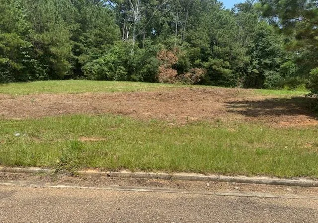 Photo 1 of Land for sale at Lot 5 Business Center Dr, Mc Comb, MS 39648 | MLS# 131452 | Listing updated on 2026-09-02