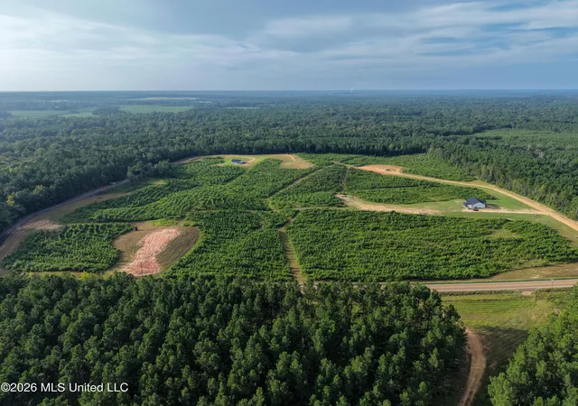 Photo 1 of Land for sale at Parcel 6 Firehouse Rd, Liberty, MS 39645 | MLS# 143830 | Listing updated on 2026-08-04
