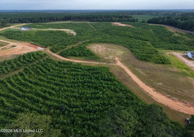 Photo 3 of Land for sale at Parcel 6 Firehouse Rd, Liberty, MS 39645 | MLS# 143830 | Listing updated on 2026-08-04