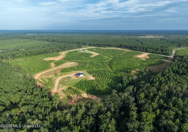 Photo 3 of Land for sale at Parcel 6 Firehouse Rd, Liberty, MS 39645 | MLS# 143830 | Listing updated on 2026-08-04