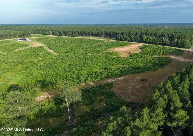 Photo 4 of Land for sale at Parcel 6 Firehouse Rd, Liberty, MS 39645 | MLS# 143830 | Listing updated on 2026-08-04