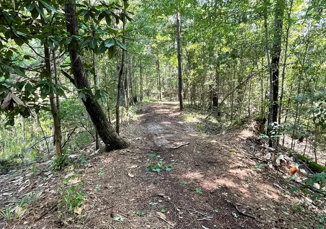 4th image of Na Reservoir Rd, Waynesboro, MS 39367 | MLS# 138607