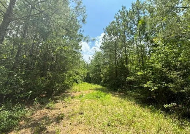 Photo 1 of Sale Pending at 000 E Lewiston Rd, Kentwood, LA 70444 | MLS# 141375 | Listing updated on 2026-07-16