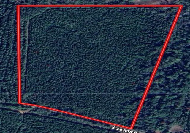 Photo 2 of Sale Pending at 000 E Lewiston Rd, Kentwood, LA 70444 | MLS# 141375 | Listing updated on 2026-07-16