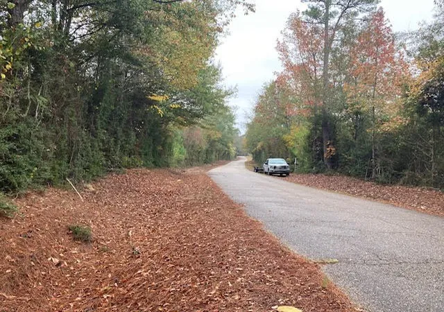 Photo 2 of Sale Pending at 000 E Lewiston Rd, Kentwood, LA 70444 | MLS# 141375 | Listing updated on 2026-07-16