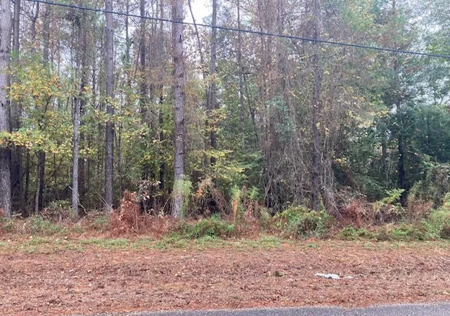 Photo 4 of Sale Pending at 000 E Lewiston Rd, Kentwood, LA 70444 | MLS# 141375 | Listing updated on 2026-07-16