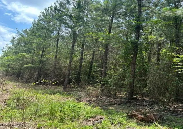 Photo 1 of Sale Pending at 000 E Lewiston, Kentwood, LA 70444 | MLS# 141376 | Listing updated on 2026-07-16