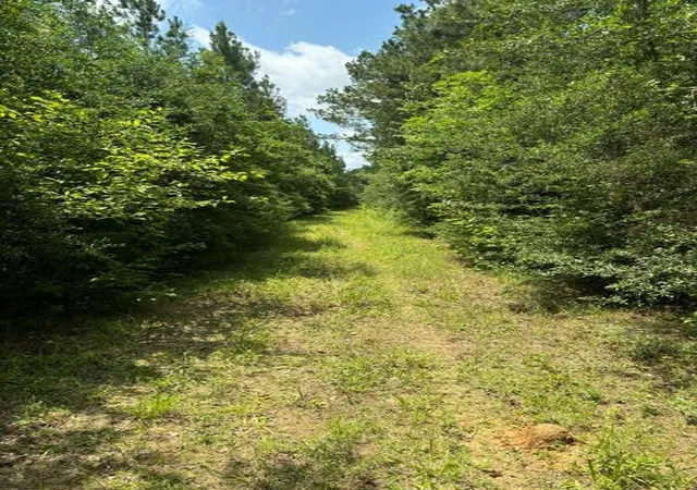 Photo 26 of Sale Pending at 000 E Lewiston, Kentwood, LA 70444 | MLS# 141376 | Listing updated on 2026-07-16