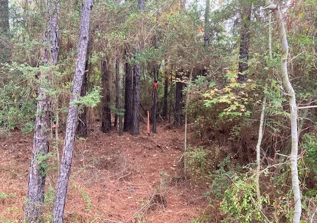 Photo 4 of Sale Pending at 000 E Lewiston, Kentwood, LA 70444 | MLS# 141376 | Listing updated on 2026-07-16