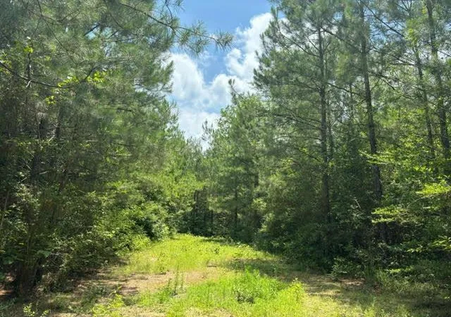 Photo 1 of Land for sale at LA | 000 E Lewiston Rd,LA 70444 | MLS# 141377 | Listing updated on 2026-09-23
