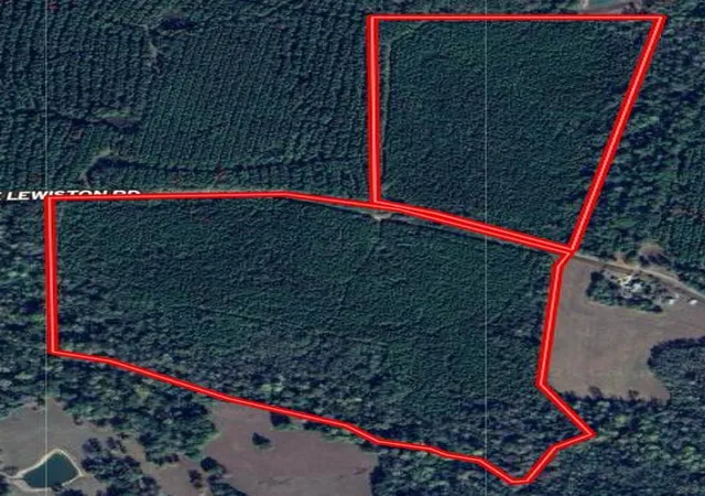 Photo 2 of Land for sale at LA | 000 E Lewiston Rd,LA 70444 | MLS# 141377 | Listing updated on 2026-09-23