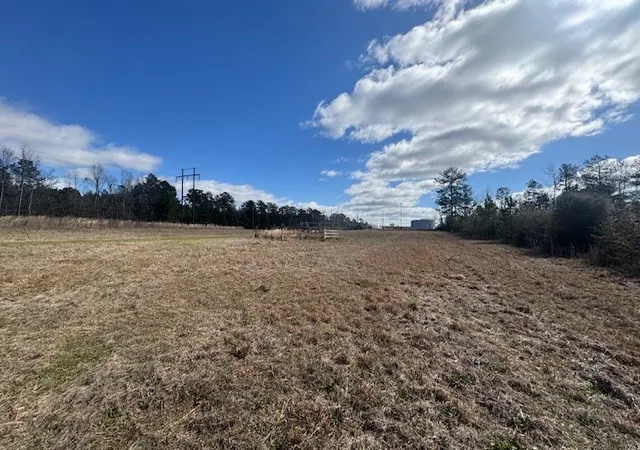 Homes for sale in Bogue Chitto, MS | 1111 Mount Olive Rd Se, Bogue Chitto, MS 39629 | MLS# 144156