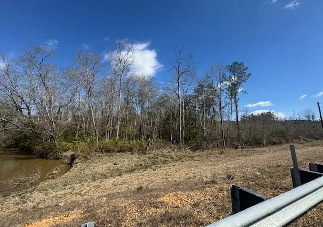 Homes for sale in Bogue Chitto, MS | 1111 Mount Olive Rd Se, Bogue Chitto, MS 39629 | MLS# 144156