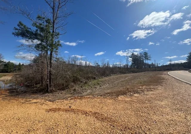 Homes for sale in Bogue Chitto, MS | 1111 Mount Olive Rd Se, Bogue Chitto, MS 39629 | MLS# 144156