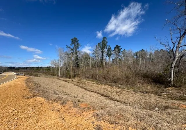 Homes for sale in Bogue Chitto, MS | 1111 Mount Olive Rd Se, Bogue Chitto, MS 39629 | MLS# 144156